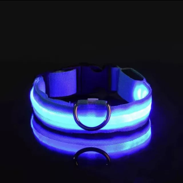 Collar led recargable 🐶 Tu bebe siempre seguro