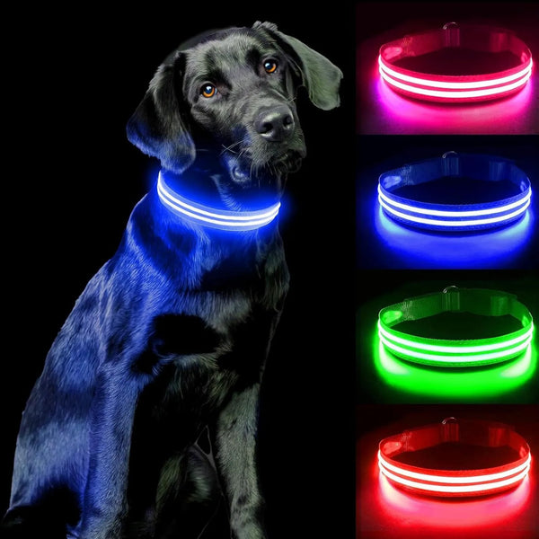 Collar led recargable 🐶 Tu bebe siempre seguro