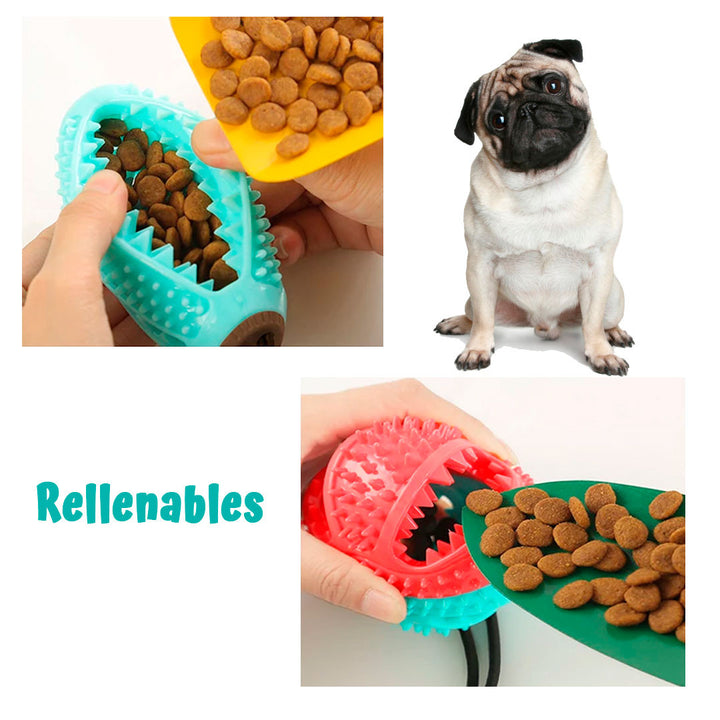 LASH® Revive la felicidad de tu peludito 🐶