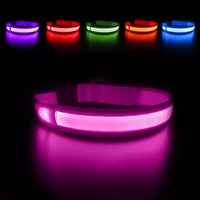 Collar led recargable 🐶 Tu bebe siempre seguro